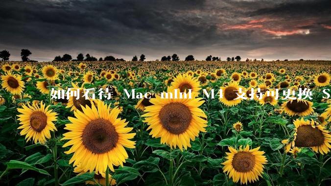 如何看待 Mac mini M4 支持可更换 SSD？
