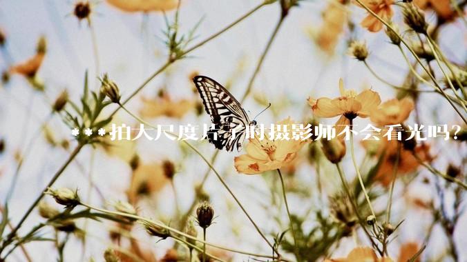 ***拍大尺度片子时摄影师不会看光吗？