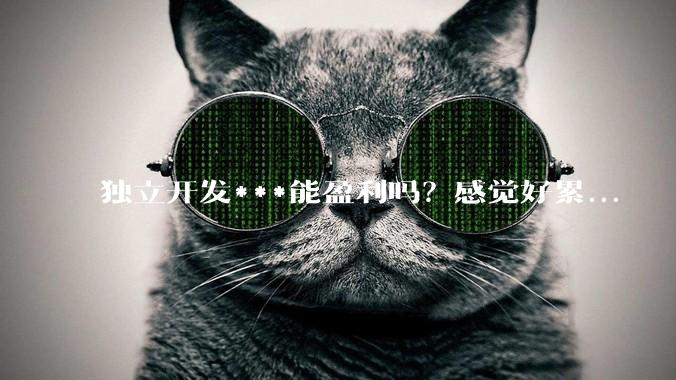 独立开发***能盈利吗？感觉好累...