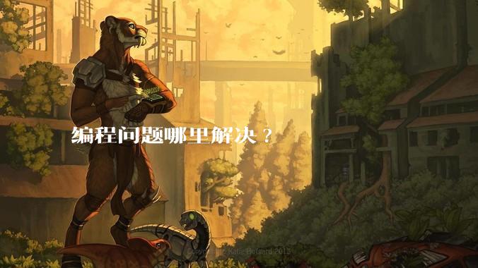 编程问题哪里解决?