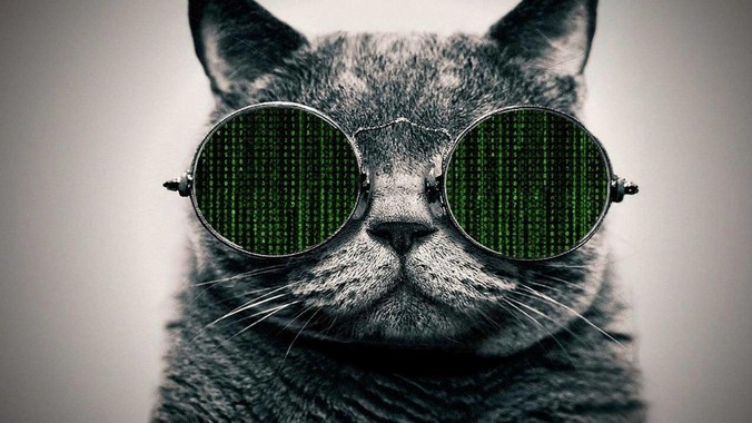 在中国有多少开发者使用Rust编程语言？